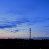 朝の定点観測