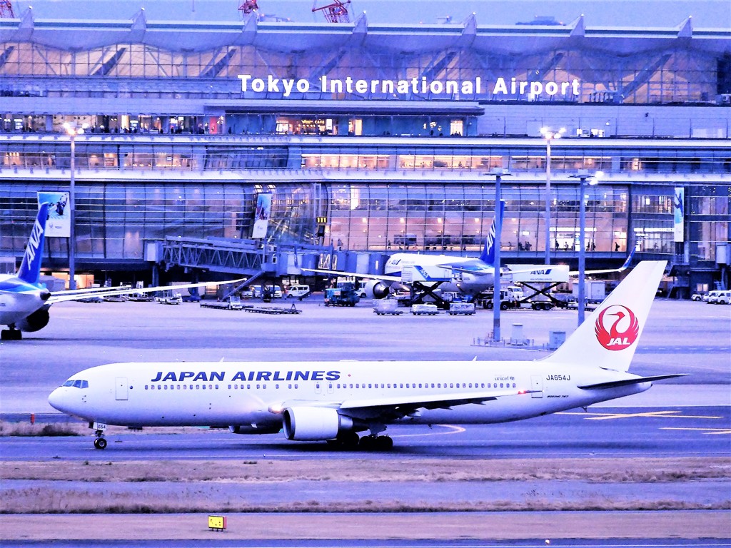 ｗｉｎｇ’ｓ 017