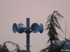 情報伝達～耳を澄ませて