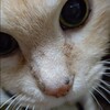 どアップ！