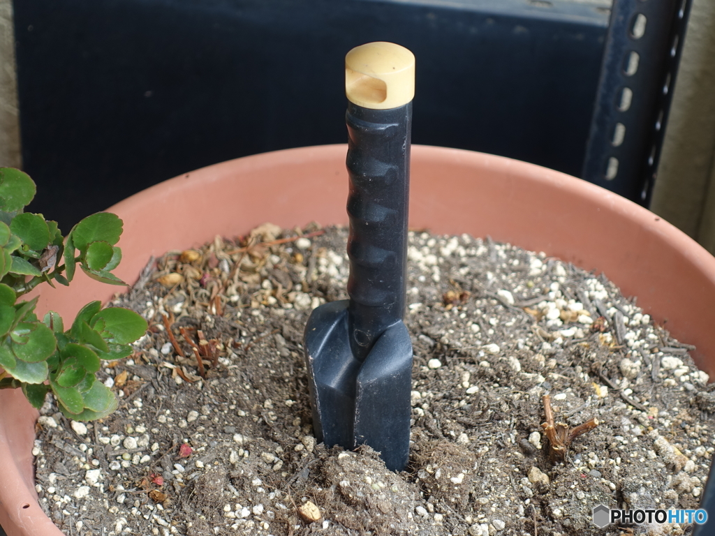 今年の営業は終了しました。