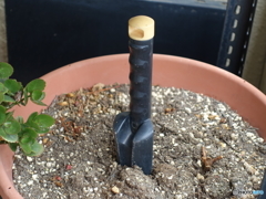 今年の営業は終了しました。