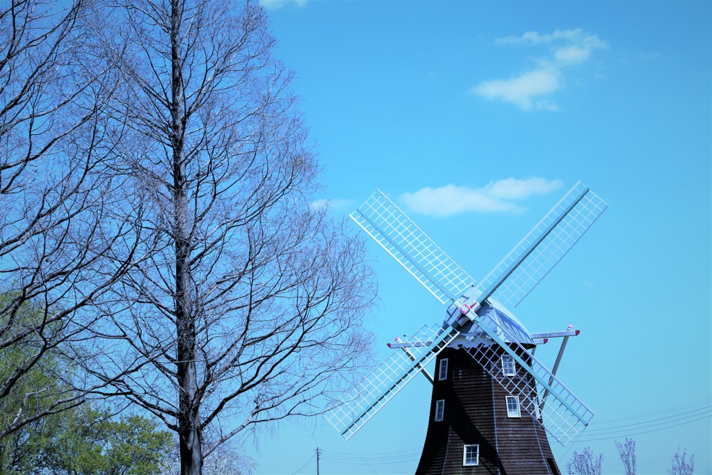 風車の夢
