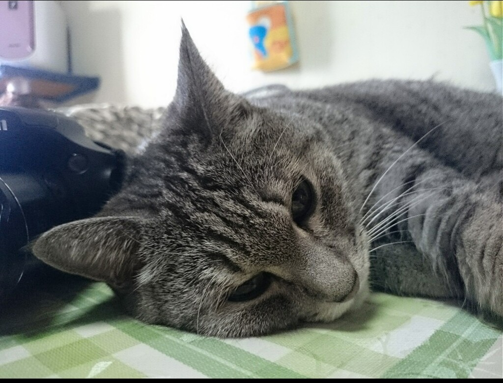 蔵出し
