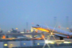 ｗｉｎｇ’ｓ 003