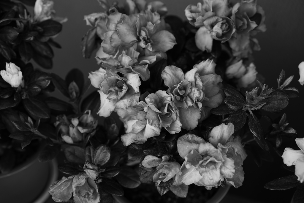 SILENT ～　２