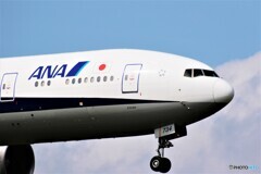 トリトンブルー