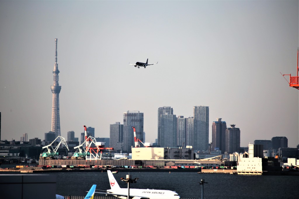 ｗｉｎｇ’ｓ 006