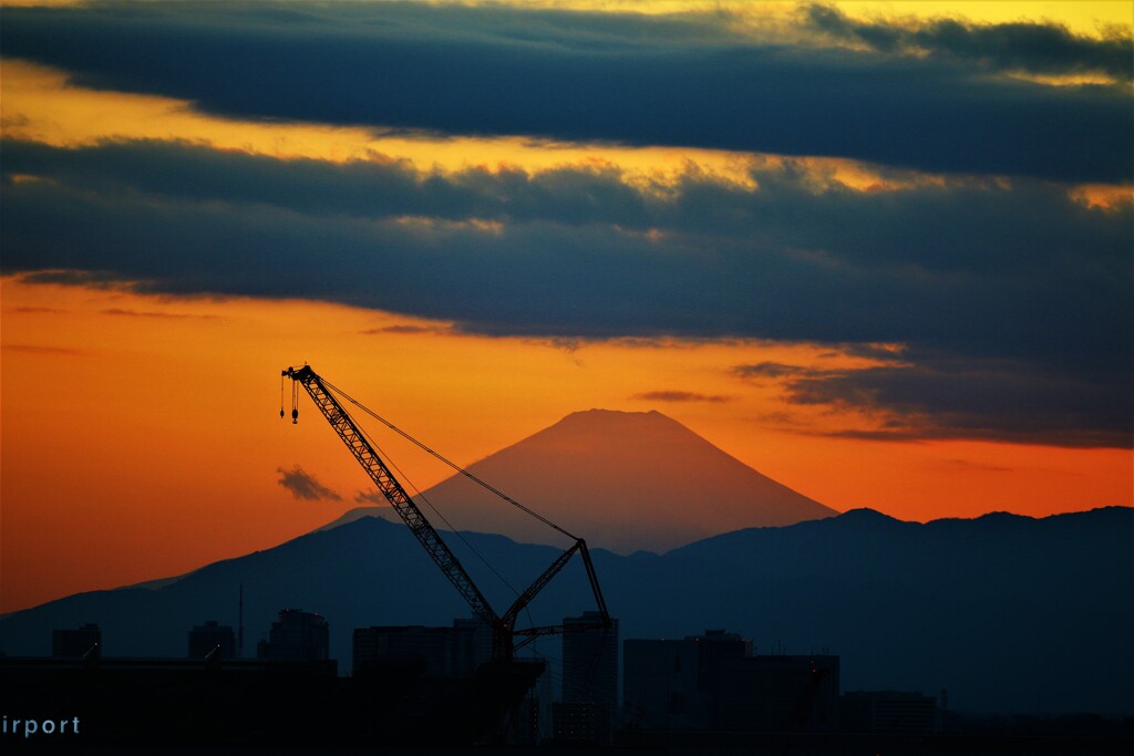 キリンと富士山