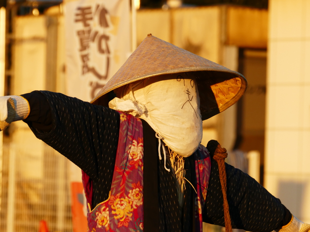 夕陽を受けて～１