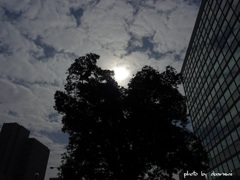 daydream