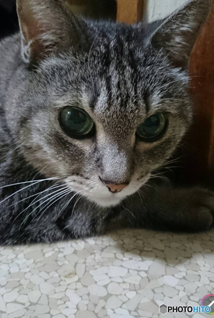 しょんぼり