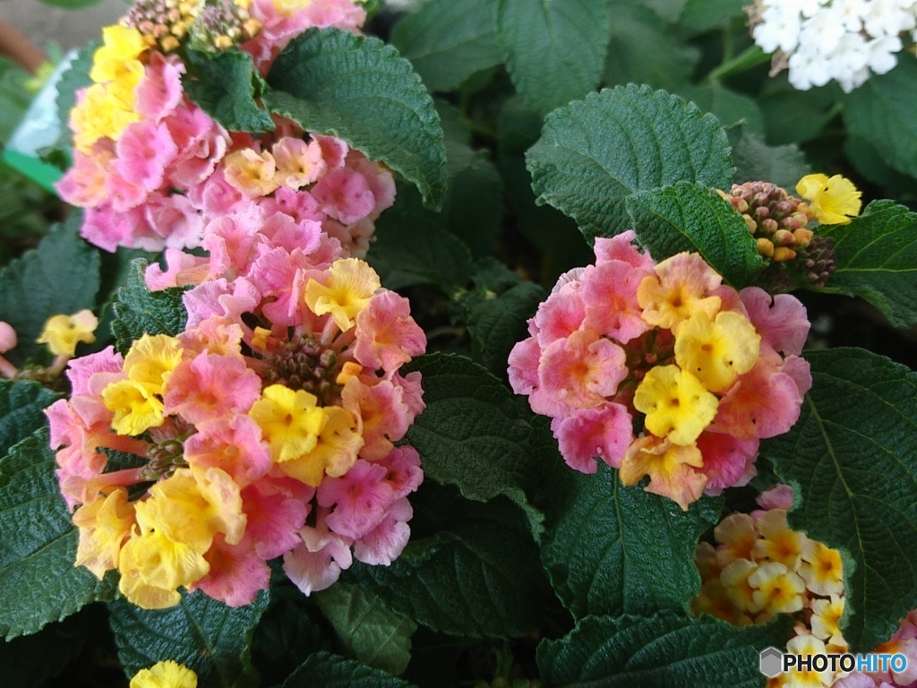 トラブルです。