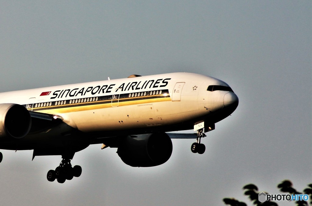 From　 Singapore