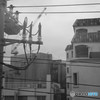 ２週間目のモノクローム