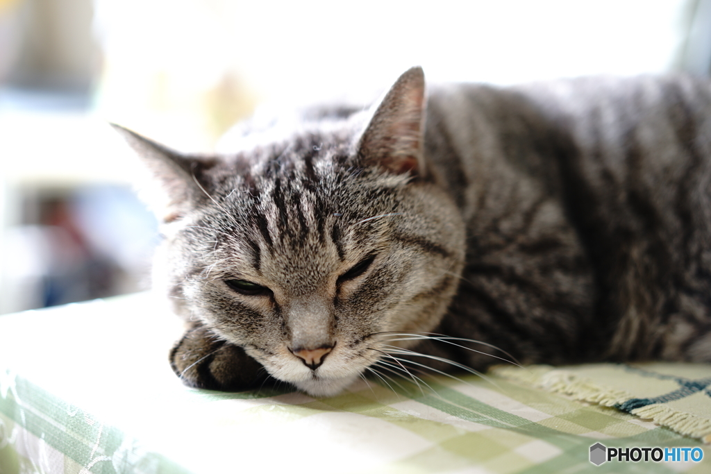 ぼくのしあわせ・・・