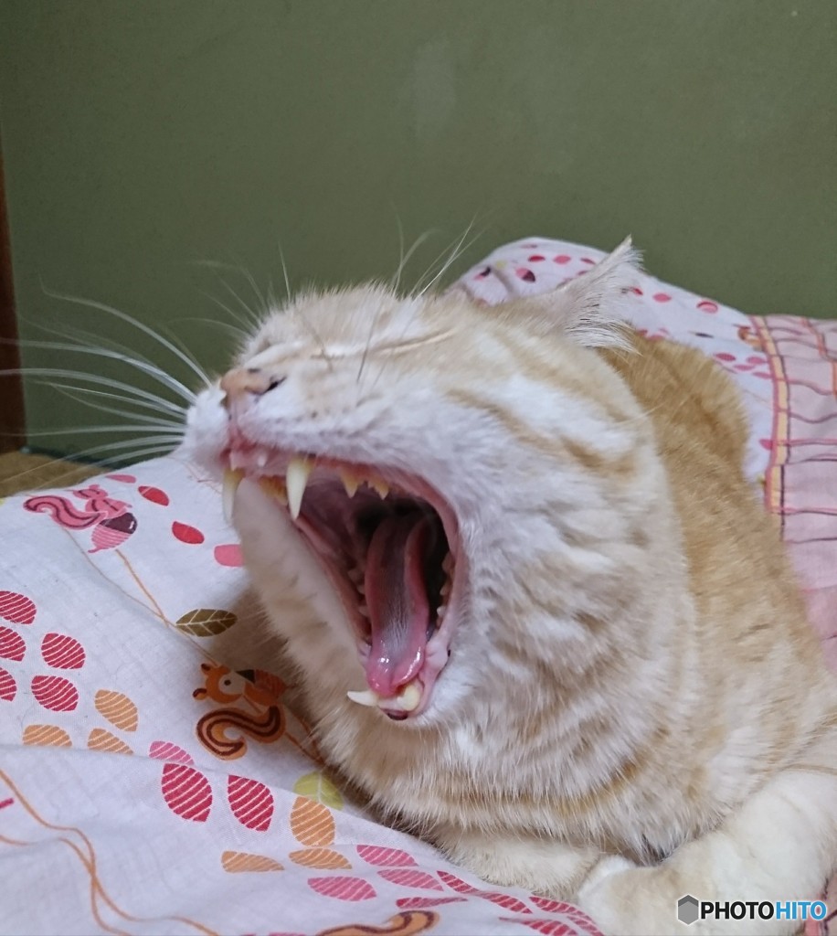 もののけ