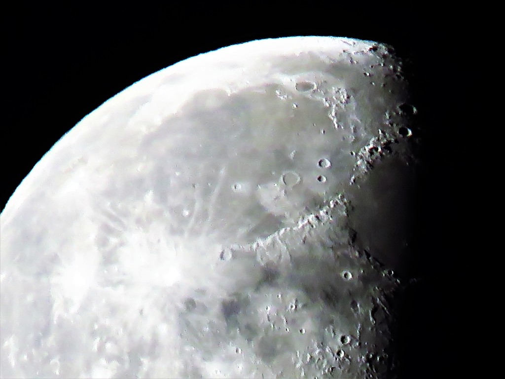 今朝の月