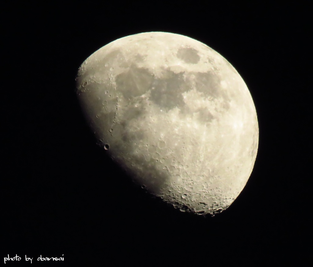 月世界への誘い