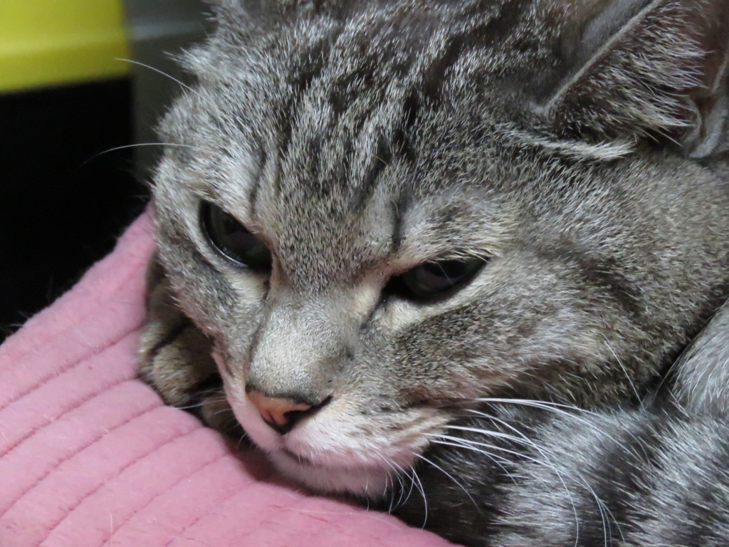 う～ん　今日は何しようかなぁ・・・