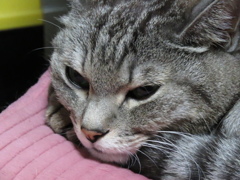 う～ん　今日は何しようかなぁ・・・