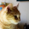 たあ～くん　光の中で