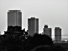 quartet