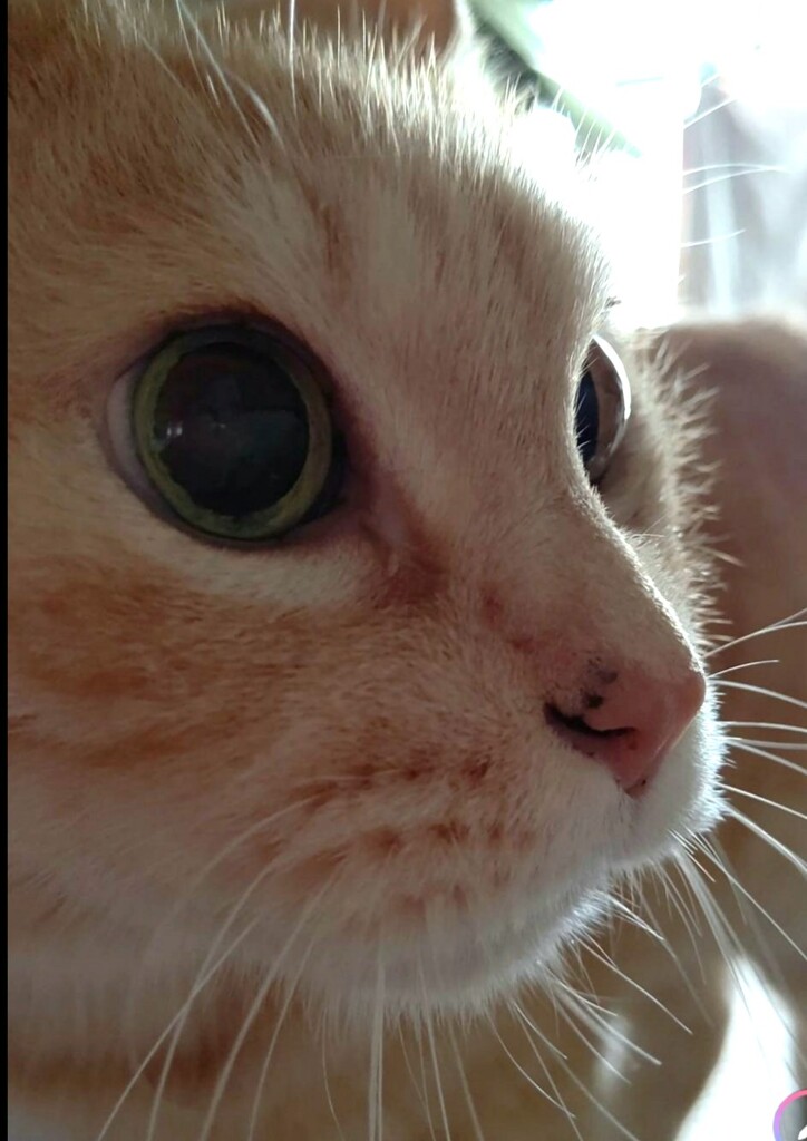 蔵出し
