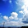 梅雨の晴れ間のＰＬフィルター