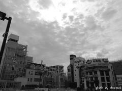 雑居乱立