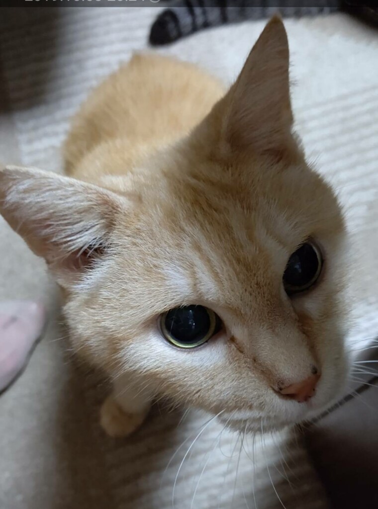 蔵出し～お兄ちゃん