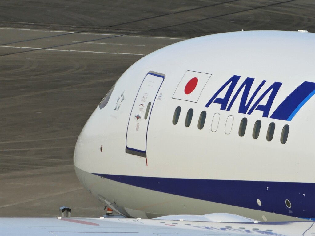 窓がないよ～