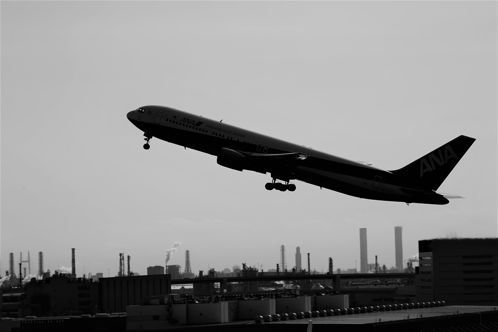 ｗｉｎｇ’ｓ 041