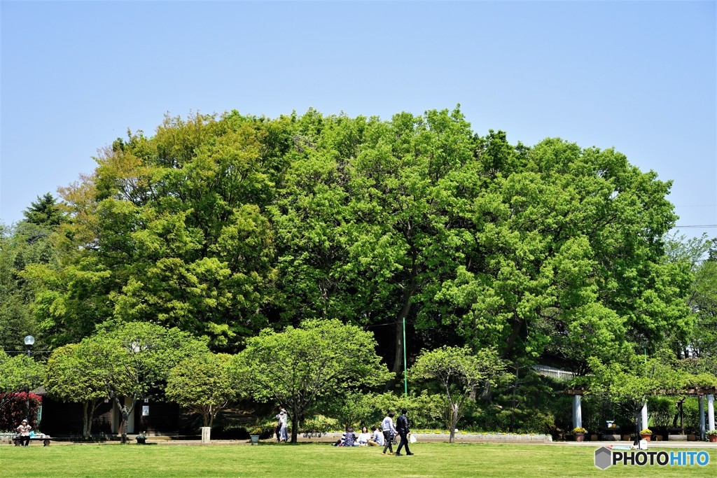 いっぱいいっぱいで～す！