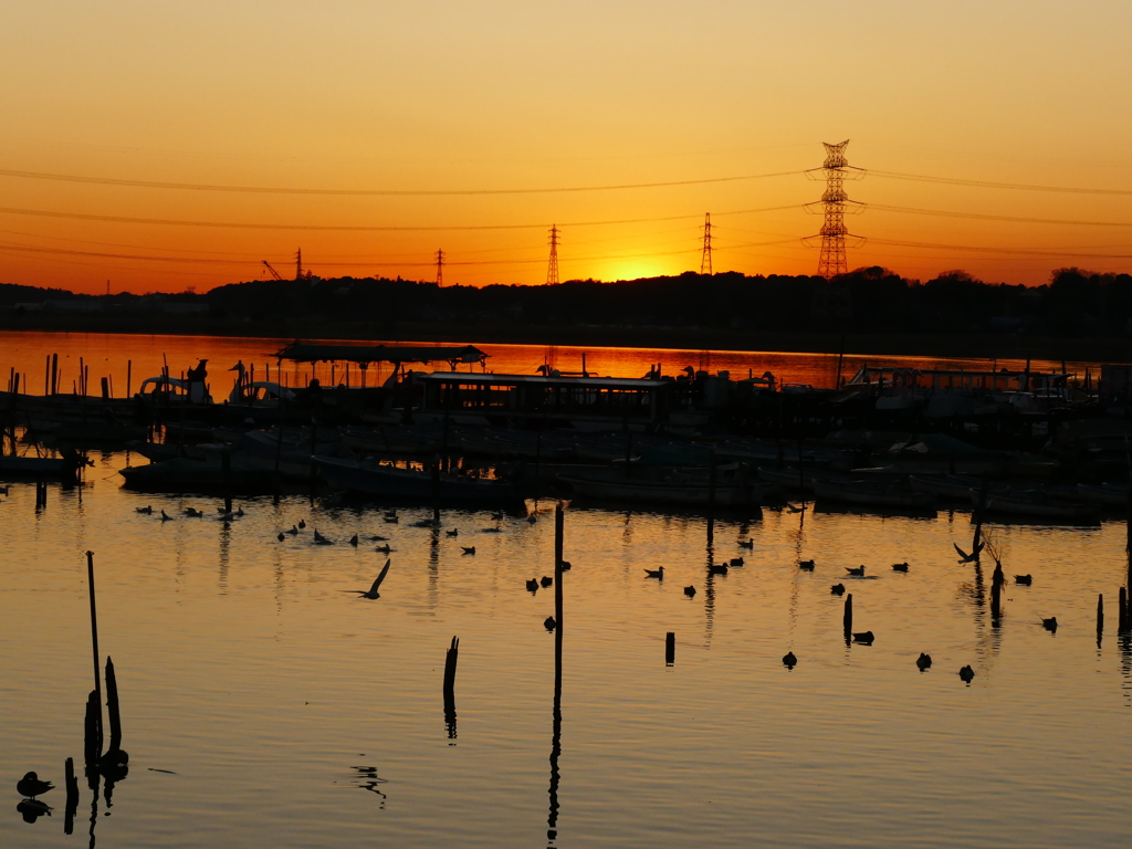 手賀沼夕景～４