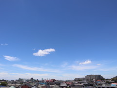 梅雨明けしました。