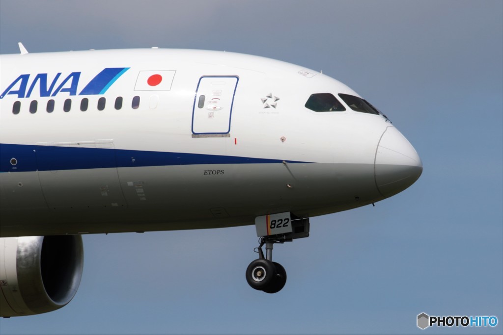 ｗｉｎｇ’ｓ 025