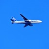 ｗｉｎｇ’ｓ 033　家の上空