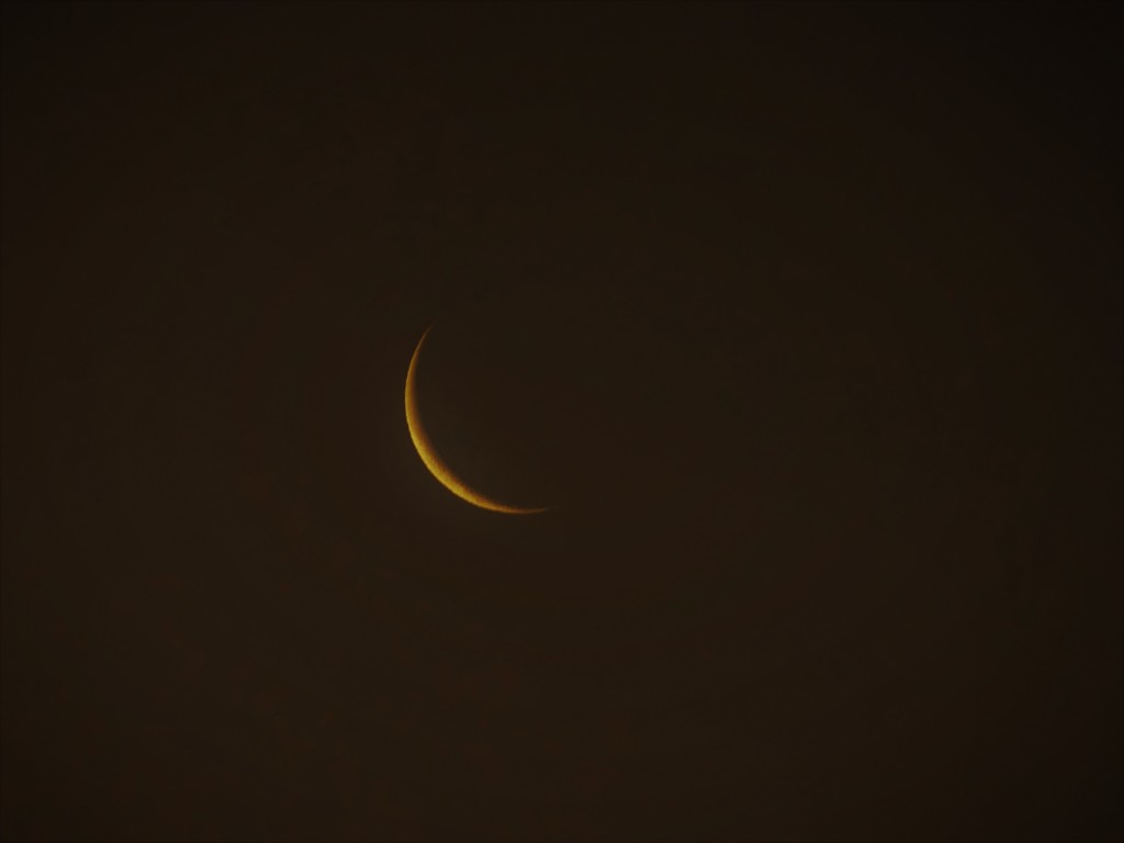 三日月金星