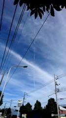 バス待ちの飛行機雲