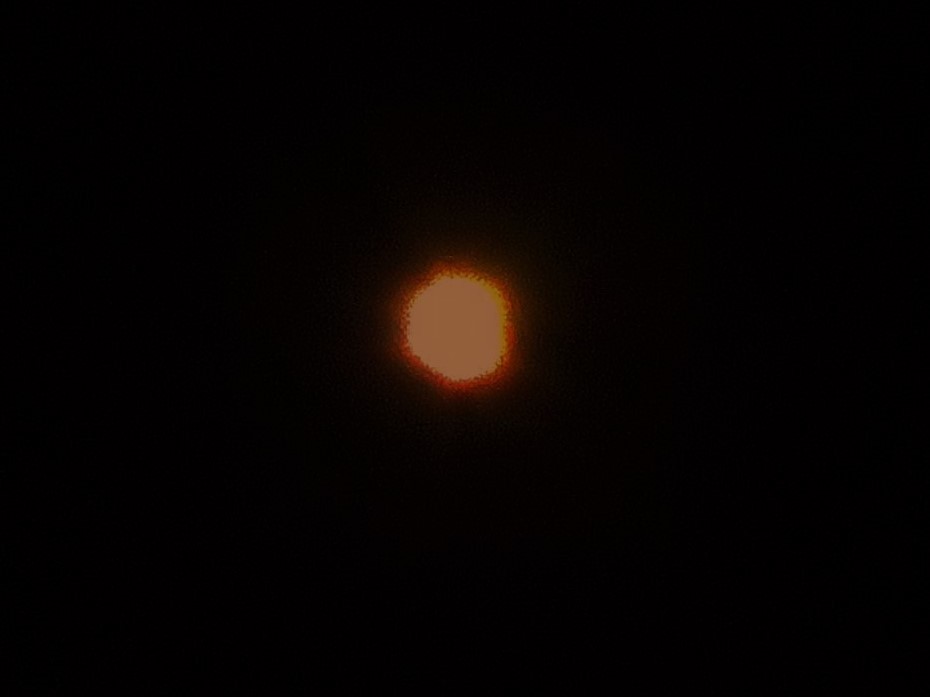 今朝の金星