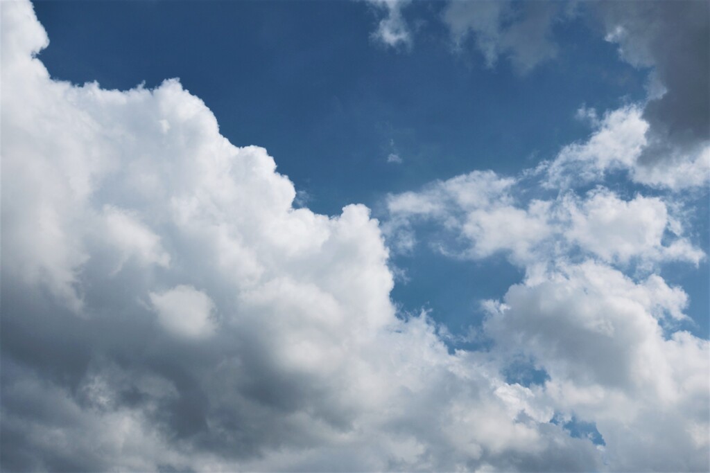 秋空　なのかな