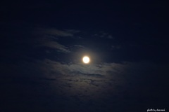 月光雲