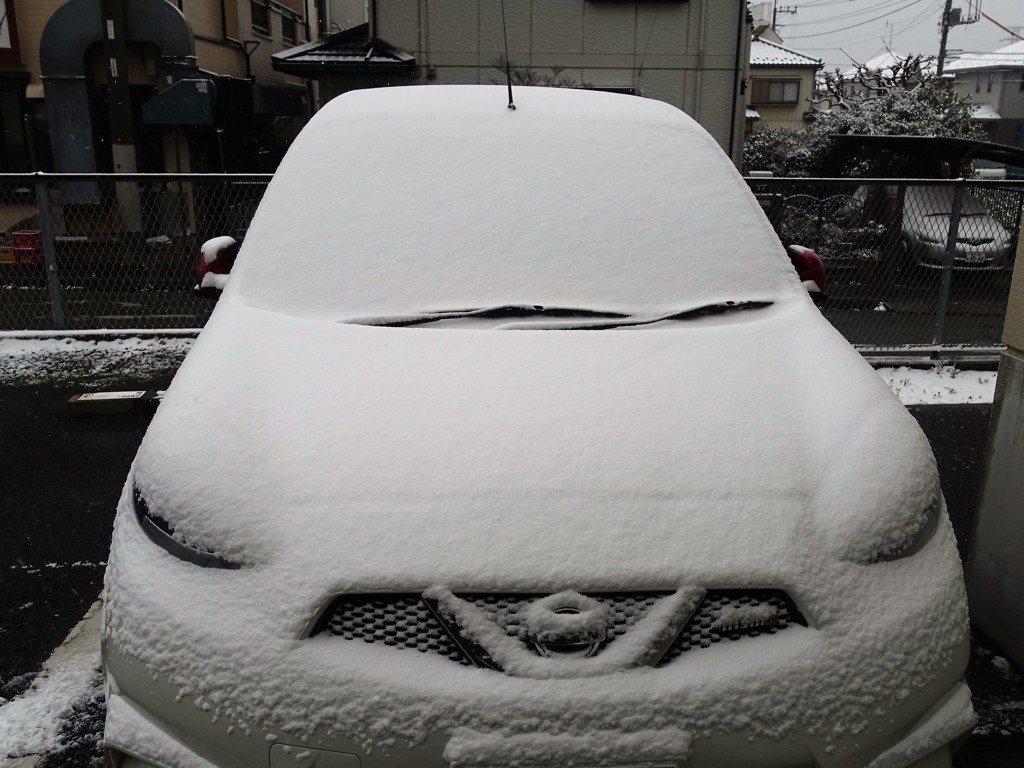 積もってきた。