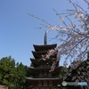 醍醐寺なう！