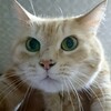 高い高い～♪
