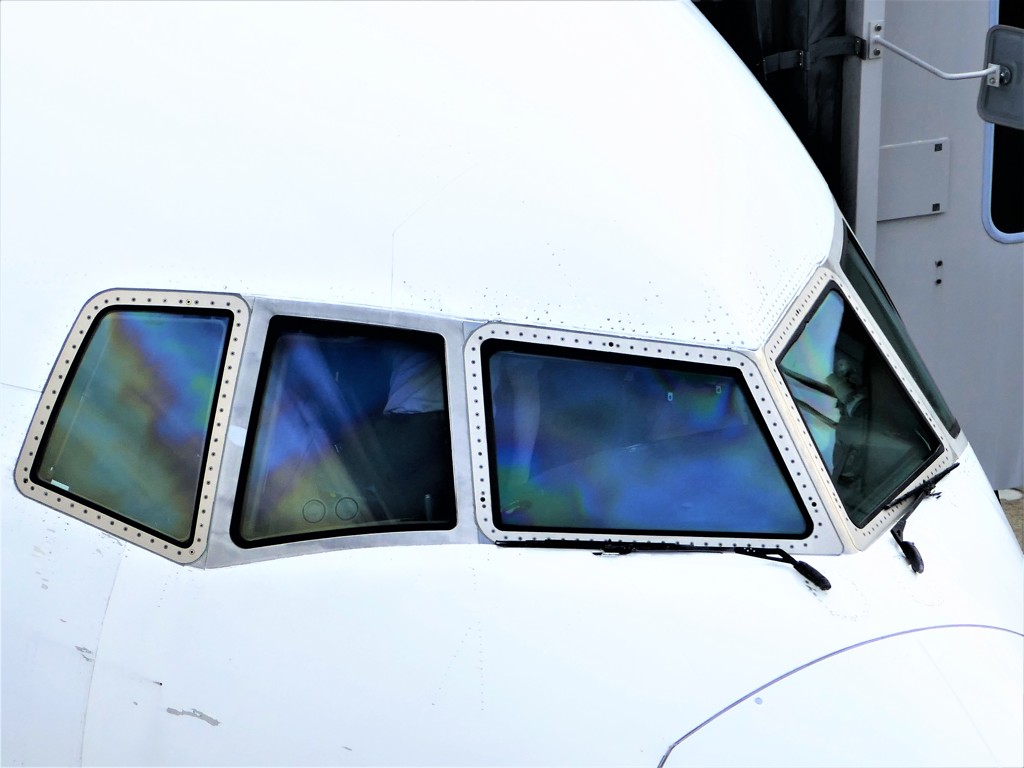 ｗｉｎｇ’ｓ 018