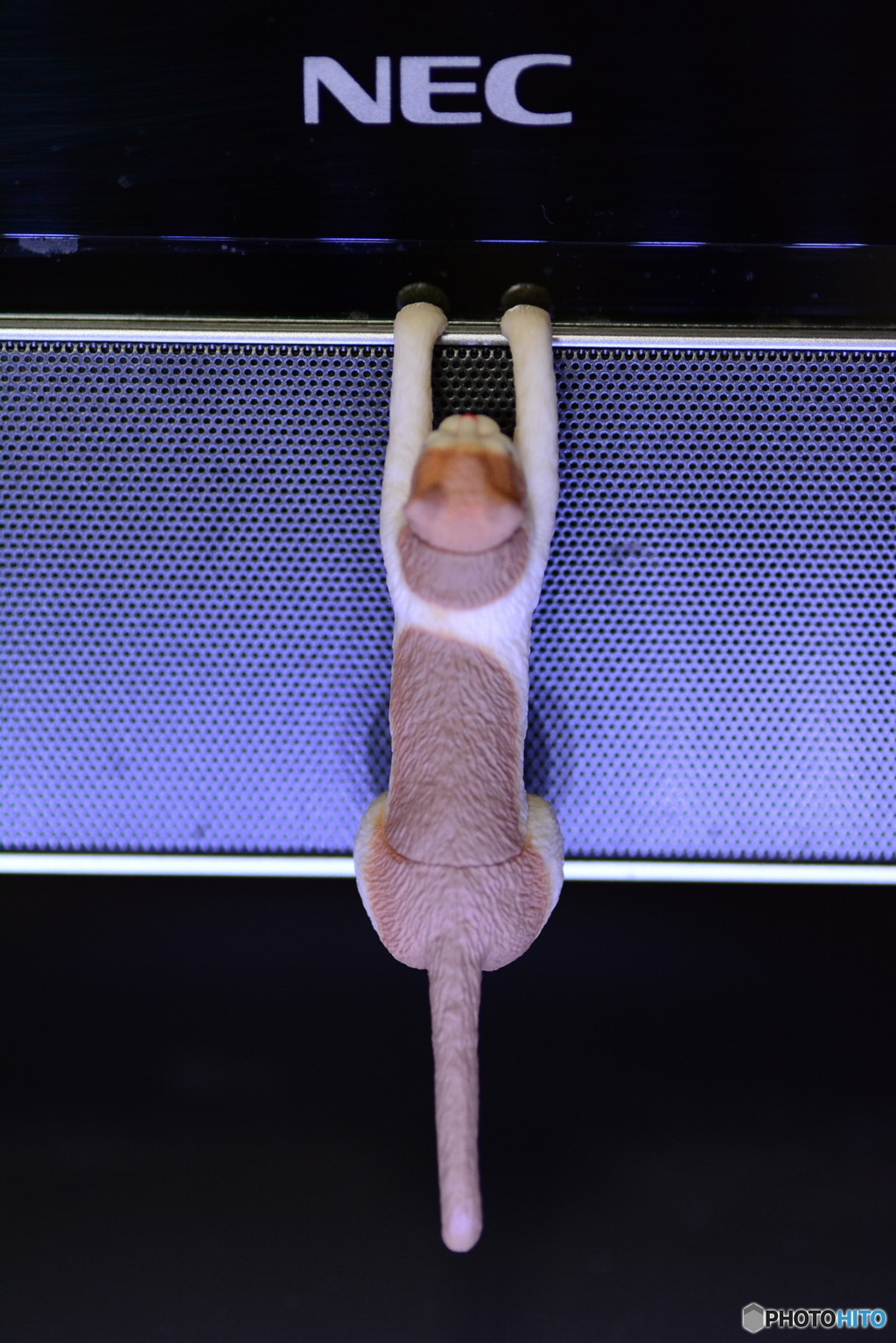 よじ登る～