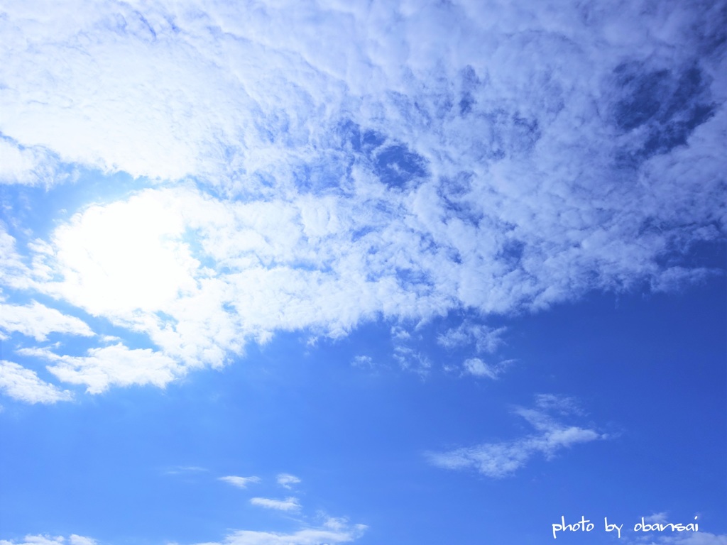 今日の秋空