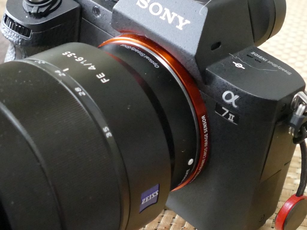 お尋ねします。